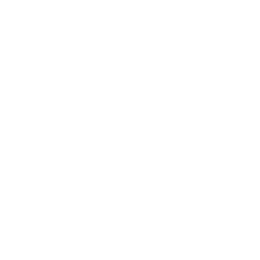 Psychoeducational Assessments